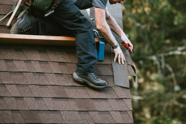 Best Roof Gutter Cleaning  in Woodsfield, OH